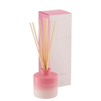 Homeware Galway Crystal Candles And Diffusers | Cactus Blossom Diffuser